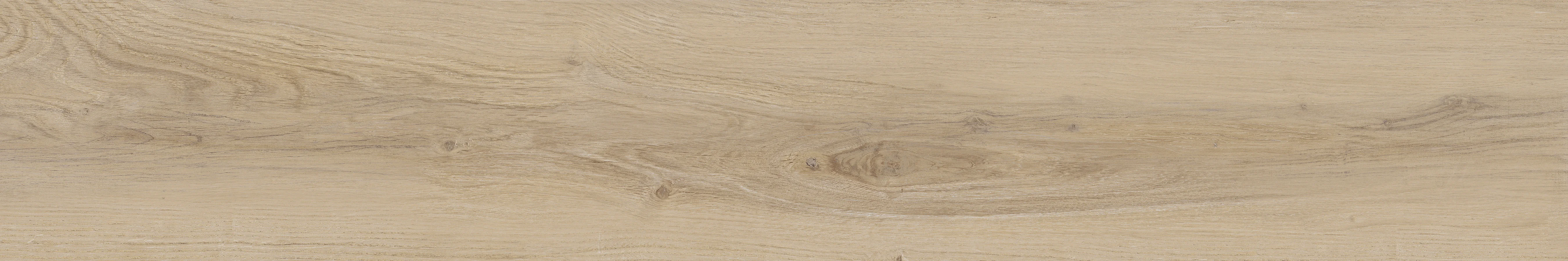 Castelvetro Alpi Larice - 20x120 cm GRIP