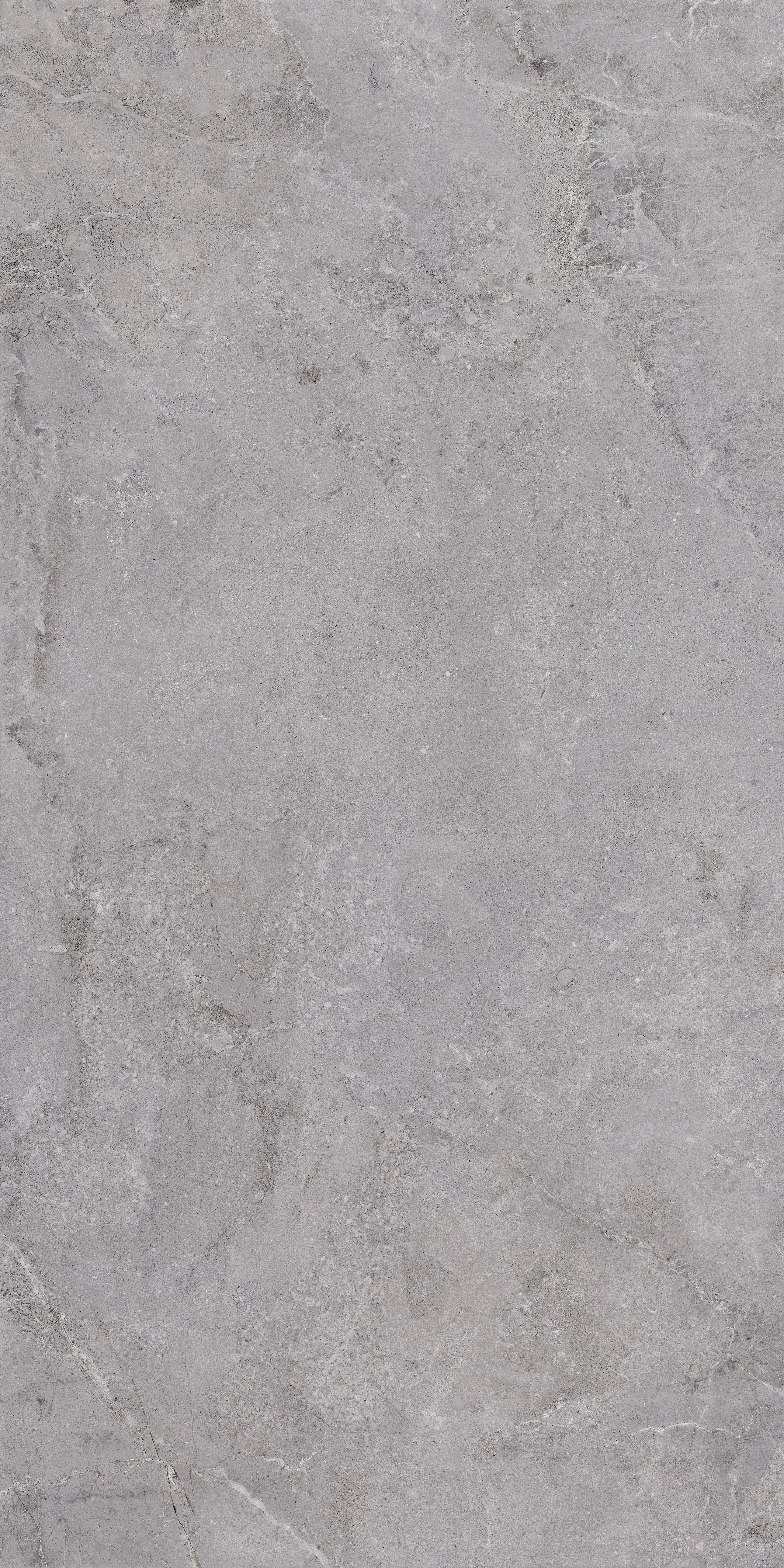 Castelvetro Evolution Grey - 60x120 cm